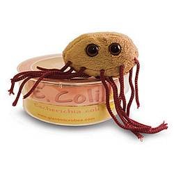 Giant Microbes E. coli (Escherichia coli) Petri Dish