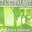 Barefoot & Pregnant