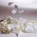 White Rose Petals