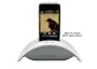 Soundcast ICT-111 iCast Wireless Audio Transmitter for iPod