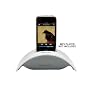 Soundcast ICT-111 iCast Wireless Audio Transmitter for iPod