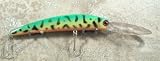 JLVLures JLV lures Diver Casting Trolling Crystal Green Coach Dog : Wobbling Wiggling Wiggle Minnow Saltwater Fishing Freshwater Steady Retrieve Stop-Go Tarpon Snook Redfish Deep Zander Barramundi Cod Speckled Trout Striper Pike Muskie Peacock Largemouth Walleye