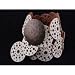 Fossil Studded Disks Belt White Image
