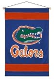 Florida Gators Sidelines Wall Hanging Banner