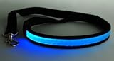 Bluecell Blue Color LED Safety Dog Pet Leash + Bluecell Cable Tie