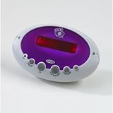20 Questions Electronic Game