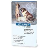 Advantage - For Dogs And Puppies Over 55