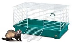 SPET MY FIRST HOME LG TEAL