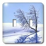 VWPics National Parks - Tree casts a long shadow in the snow.Yellowstone National Park, Wyoming - Light Switch Covers - double toggle switch