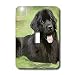 Dogs NewFoundLand - Newfoundland - Light Switch Covers - single toggle switch