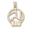 Eastern Illinois Univ "Eiu" Volleyball Charm/Pendant