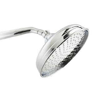 Pegasus 10 In. Traditional Can Style Showerhead in Polished Chrome B61461CP