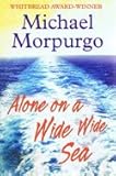 Alone on a wide wide sea