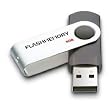 Flash Memory 8GB USB DRIVE (FAST DELIVERY FROM AMAZON)