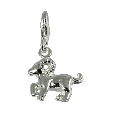 Silber Charm