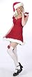 Sexy Red Elf Christmas Costume - Women's Size Medium/Large (10-14)