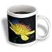 St John s Wort Yellow Flower - 15oz Mug