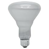 Tools & Hardware : GE LIGHTING 20330 'REFLECTOR FLOODLIGHT' BR30 Medium Screw(E26) 45W(PACK OF 6)