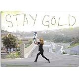 Emerica Stay Gold Deluxe DVD ( Multi )