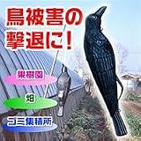 ���Q�@�{���\�b�N���J���X�@�R���K���X�@1�C
