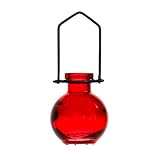Hanging Flower Glass Wall Vase 1/pc ~ G73 Red Glass Bottle ~ Floral Vase ~ Colored Vase ~ Bud Vase ~ Garden Vase