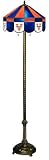 65 Floor Lamp Light University of Virginia UVA Cavaliers - Free Shipping