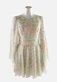 Angel Sleeve Mini Dress