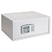 Buddy Products Laptop Safe, Heavy-Duty Steel Construction, 13.875 x 7.875 x 16.875 Inches, Platinum (3217-32)