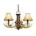 AireRyder Lodge Light Kit