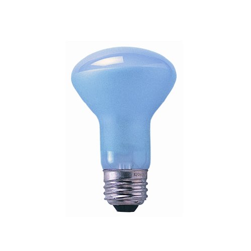 Bulbrite 50R20FL/N 50W 120V Full Spectrum True Daylight R20 Reflector Flood Bulb, Clear