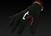 Fox Rage Power Grip Gloves Handschuhe Angelhandschuhe