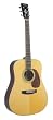 Recording King Classic Series I Dreadnought Acoustic Guitar (Rosewood)