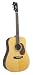 Recording King Classic Series I Dreadnought Acoustic Guitar, Rosewood Back & Sides