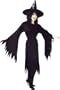 Wicked Witch Fancy Dress Costume (adult size 10-12) - Black