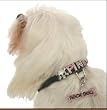 Dog Pendant, Charm - Rock Dog Swarovski Crystal Pendant - Bone Shaped - Pink