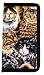 Cats CAT Checkbook CHECKBOOKS Cover GREAT GIFT IDEA for Graduation, Birthday, For Man or Woman Best Gift Ideas for HIM or HER