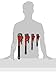 Grizzly H6271 Steelex 4-Pc. Pipe Wrench Set 8-Inch, 10-Inch, 14-Inch, 18-Inch