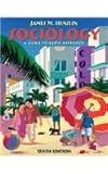 Sociology : a down-to-earth approach