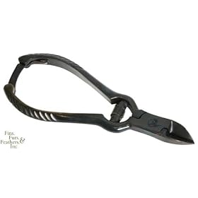 Coral Cutters - 6 in. by BOSTON AQUA FARMS,LLC