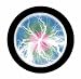 LUMINDISK