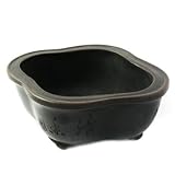 315lXysnbuL. SL160  Bonsai Boys Green Oval Ceramic Bonsai Pot 6 25 x 4 75 x 3