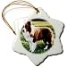Dogs Border Collie - Border Collie Tan and White - Ornaments