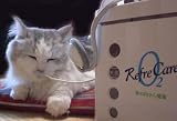 犬、猫、ペットに家庭用「リフレ酸素バー」スターターパッケージ無香料