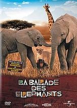 Childrens Toyshop  DVD : La balade des éléphants - elephant tales