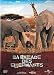 DVD : La balade des éléphants - elephant tales