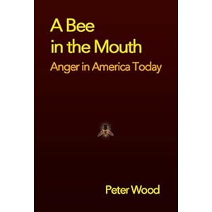 A Bee in the Mouth: Anger in America Now