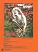 The Rose - Bette Midler - P/V/G Sheet Music