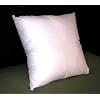 Pillow Insert 20 x 20