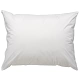 Healthy Zzz Pillow Encasement