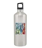 Death Cab for Cutie Water Bottle